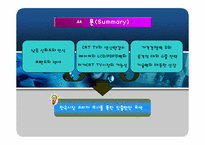 [마케팅조사] 중국TV한국진출을 위한 소비자구매태도 및 인식조사-11