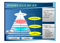 우리은행 리스크관리(우리은행 M뱅킹)-4