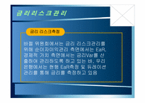 우리은행 리스크관리(우리은행 M뱅킹)-13