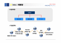 [경영성공사례] 태평양의 성공요인과 향후 성장 전략-5