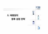 [경영성공사례] 태평양의 성공요인과 향후 성장 전략-13