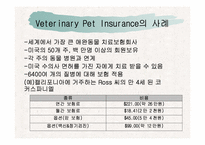 애견의료보험산업의 활성화전략-7