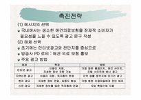애견의료보험산업의 활성화전략-18