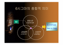 [운영관리] 6Sigma(6시그마) 연구 및 사례-6