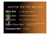 [운영관리] 6Sigma(6시그마) 연구 및 사례-13