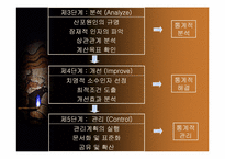 [운영관리] 6Sigma(6시그마) 연구 및 사례-15