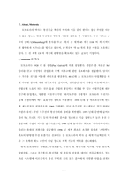 [국제경영] 모토로라코리아의 휴대폰사업부 글로벌경영-3