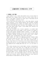 [마케팅전략] LG텔레콤의 마케팅서비스전략-3