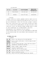 [마케팅전략] LG텔레콤의 마케팅서비스전략-11