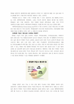 [광고기획안] LG CYON(싸이언) 게임폰 광기획안-7