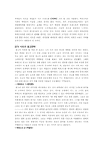 [광고기획안] LG CYON(싸이언) 게임폰 광기획안-17
