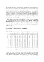 [무역] 중국시장에서의 초고속인터넷통신망 투자전략-4