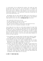 [무역] 중국시장에서의 초고속인터넷통신망 투자전략-5