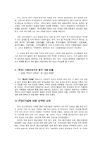 [무역] 중국시장에서의 초고속인터넷통신망 투자전략-8
