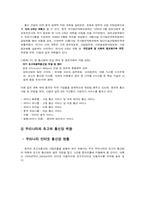 [무역] 중국시장에서의 초고속인터넷통신망 투자전략-11