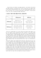 [무역] 중국시장에서의 초고속인터넷통신망 투자전략-13