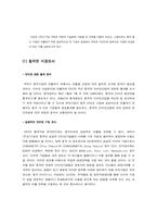 [무역] 중국시장에서의 초고속인터넷통신망 투자전략-16