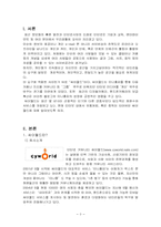 [경영전략] 싸이월드 사례분석-3