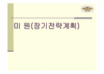 [경영전략] 미원의 장기전략계획-1