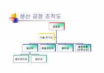 [경영정보론](주)코오롱제약 생산관리프로세스 분석-5
