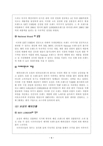 [국제경영](주)보성인터내셔날 마케팅전략과 해외진출 실패분석-4