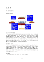 [경영전략]한국정보통신 경영분석-8