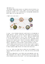 [경영전략]한국정보통신 경영분석-13