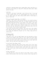 [광고마케팅]베이직하우스 광고전략과 브랜드관리-9