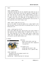 [국제물류]TNT의 국제물류 경영전략-16