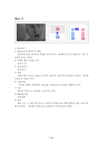 [영화 분석]히치콕의 <싸이코> 분석 - 샤워 살인 시퀀스 중심 --14