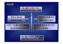 [마케팅전략]삼성전자 애니콜 경영전략-9