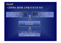 [마케팅전략]삼성전자 애니콜 경영전략-19