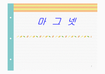 [마케팅]롯데 마그넷 할인점 경영전략(부산지역을 중심으로)-1