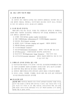 [졸업][광고와마케팅]국제기업의 광고전략 분석- 맥도날드 코카콜라 펩시 사례-3