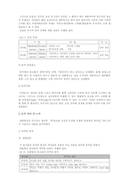[기업비교]대한항공과 아시아나항공의 광고분석-2