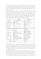 [기업비교]대한항공과 아시아나항공의 광고분석-13