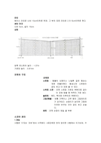 [체육]테니스 레포트-2