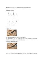 [체육]테니스 레포트-6