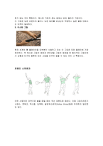 [체육]테니스 레포트-7