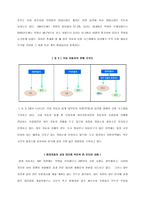 [학사][자동차산업]자동차 산업의 유통구조 분석-7