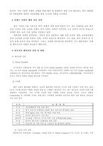 [국제경영]국내 웹 에이전시의 수출 활성화 방안-8