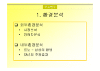 [마케팅]르노 삼성 SM3 자동차 마케팅전략 분석-4