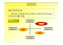 [마케팅]르노 삼성 SM3 자동차 마케팅전략 분석-6