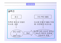 [마케팅]르노 삼성 SM3 자동차 마케팅전략 분석-16