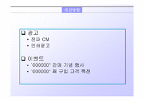 [마케팅]르노 삼성 SM3 자동차 마케팅전략 분석-18