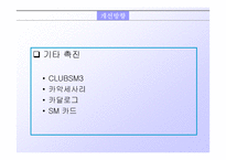 [마케팅]르노 삼성 SM3 자동차 마케팅전략 분석-19