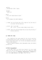 [서비스마케팅]서울랜드의 문제점과 개선방안-3