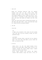 [마케팅]르노 삼성 SM3 자동차 마케팅전략 분석-5