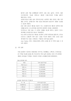 [마케팅]르노 삼성 SM3 자동차 마케팅전략 분석-6