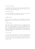 [마케팅]세계1위 헬멧제조기업 `홍진크라운[HJC]`의 마케팅 사례분석-2